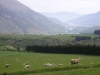South Island NZ